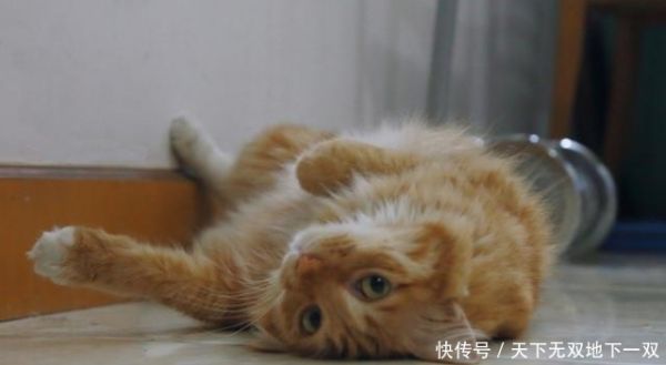 t01ca7afa9aa1b6e7eb.jpg?size=640x351