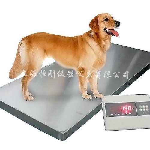 宠物秤