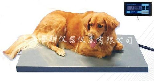 宠物秤