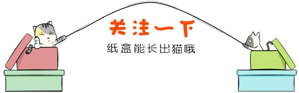 猫咪调教丨除了专业猫食，猫咪还可以吃这些人类食物~