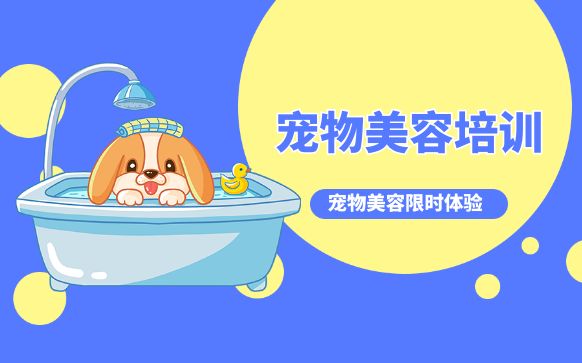 宠物美容培训-宠物美容师培训学校