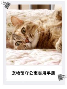 宠物留守公寓实用手册