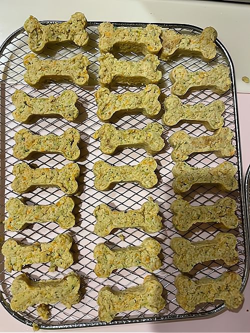 定制化宠物零食,满足不同宠物需求的商业机遇!