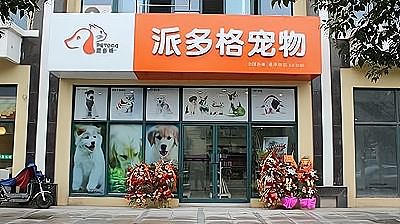 从宠物需求到创业机会:宠物训练行业的黄金发展期