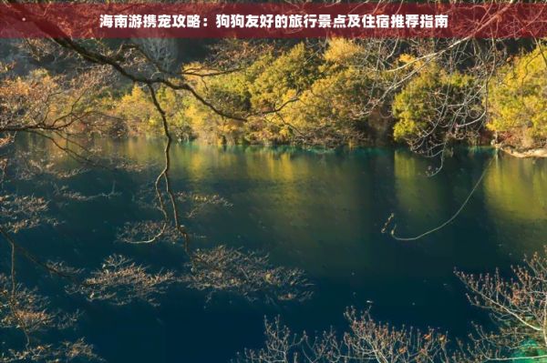 海南游携宠攻略：狗狗友好的旅行景点及住宿推荐指南