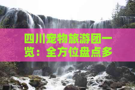 四川宠物旅游团一览：全方位盘点多家热门宠物旅游服务提供商