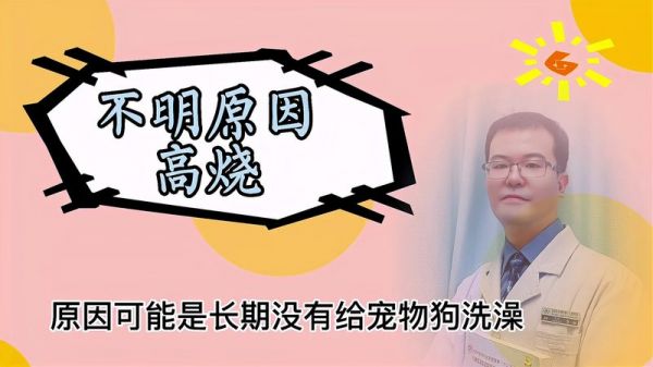 视频图片