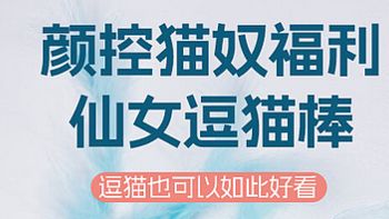 每一款都是心动之选：探秘猫咪玩具界的“人气王”