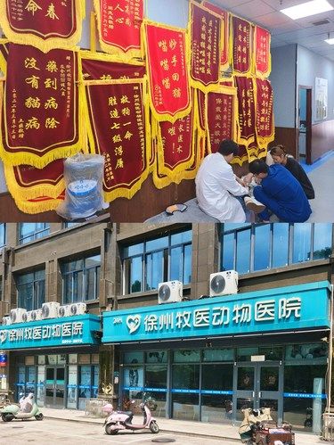 宠物医院天花板