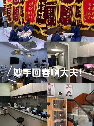这一墙锦旗就知道其含金量了……