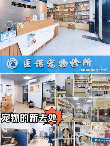 在松江文涵路上找到了一家可以放心的宠物医院啦