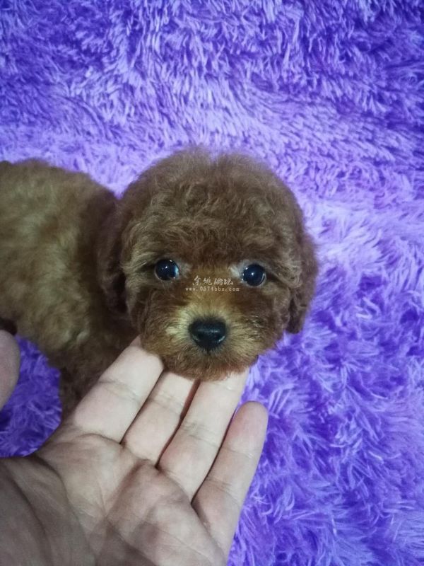 微信图片_20180821153655.jpg