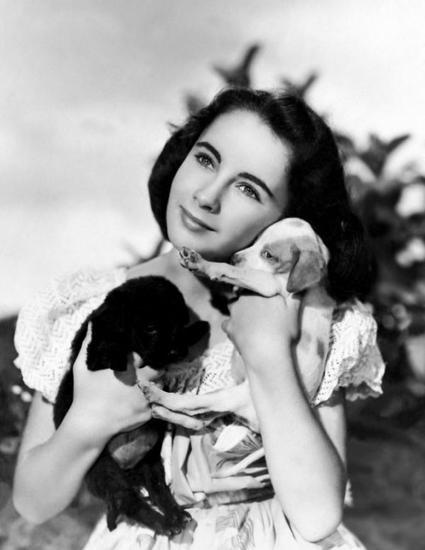玉美貌男子驹 National Velvet (1944)