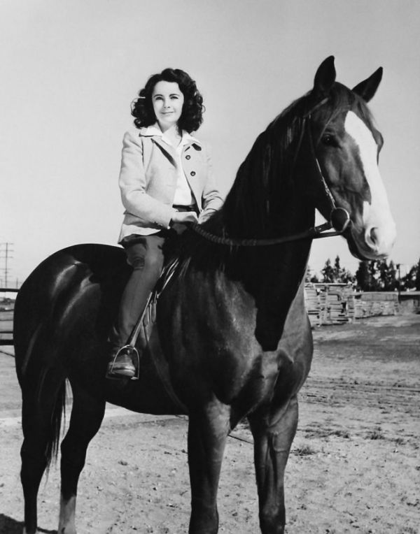 玉美貌男子驹 National Velvet (1944)