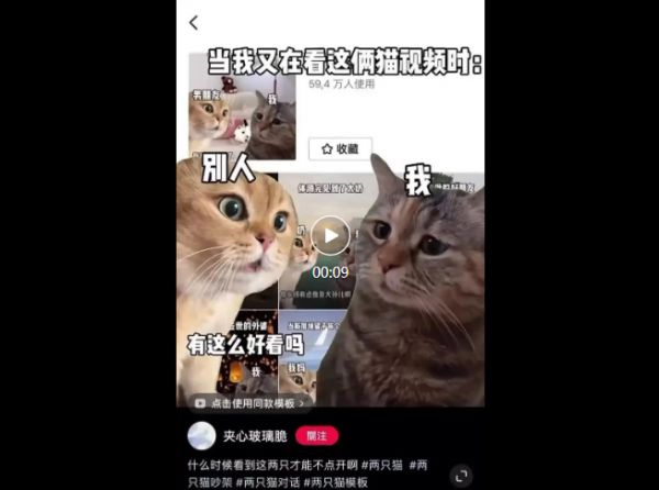 微信图片_20231219114622.png