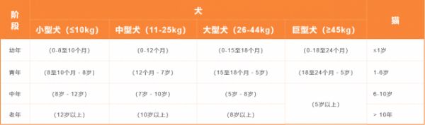 宠物老年时代将至，如何给它们提供最佳关怀