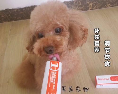 狗狗的维生素需求与补充方法（以宠物为主）