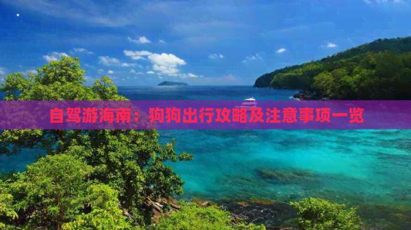 自驾游海南：狗狗出行攻略及注意事项一览