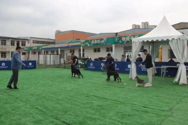 微信图片_20220605092005.jpg