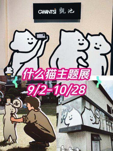 什么猫演我精神状态