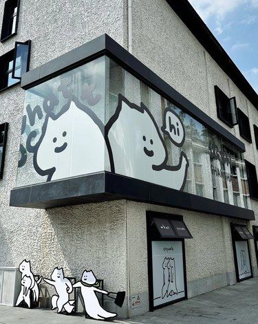 什么猫？
