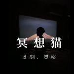 冥想猫|正念冥想引导