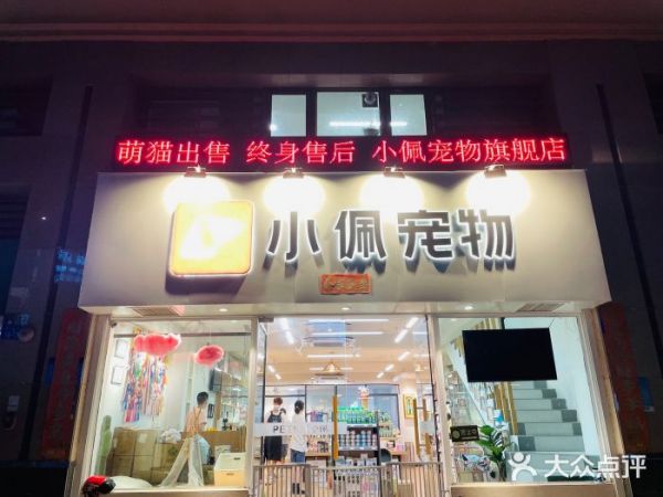 深圳宠物美容店哪家好