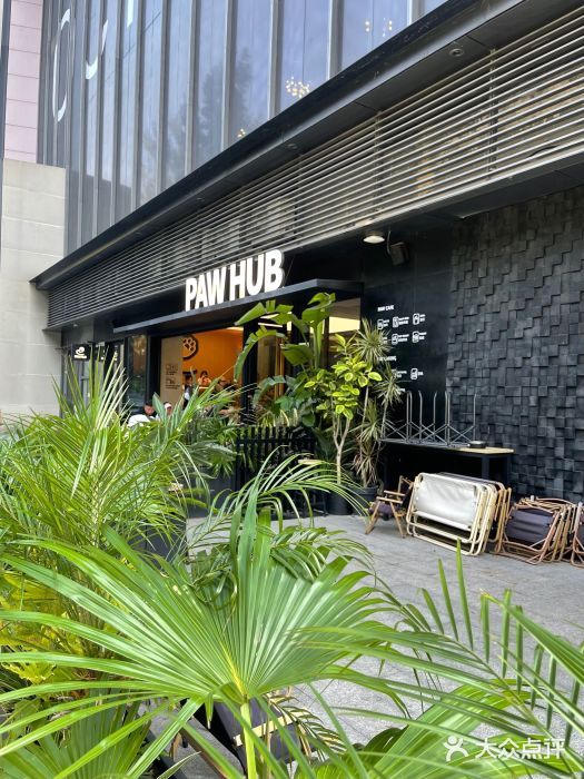 深圳宠物美容店哪家好