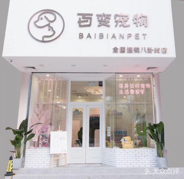 深圳宠物美容店