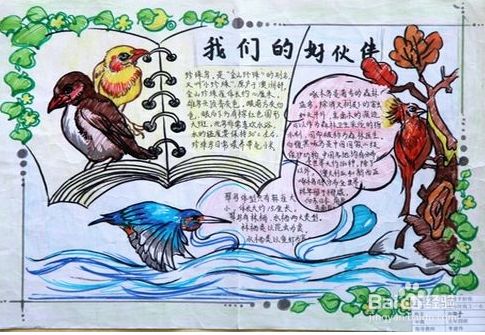 保护鸟类我们应该怎么做呢？