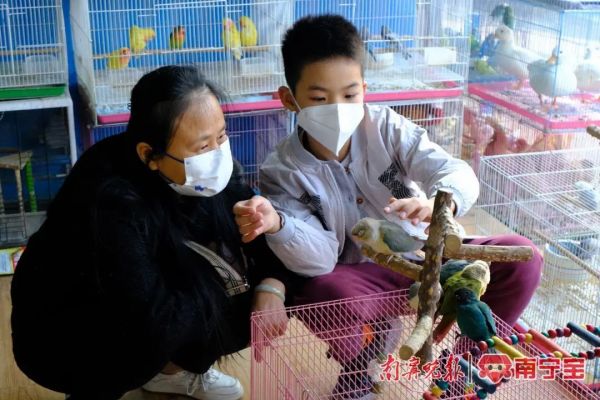 周末花鸟市场人头攒动,大多是家长带着小朋友前来购买宠物。