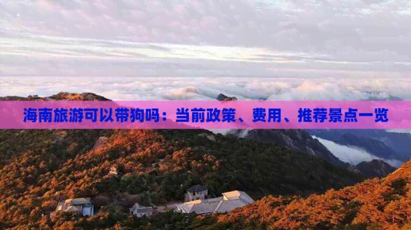 海南旅游可以带狗吗：当前政策、费用、推荐景点一览