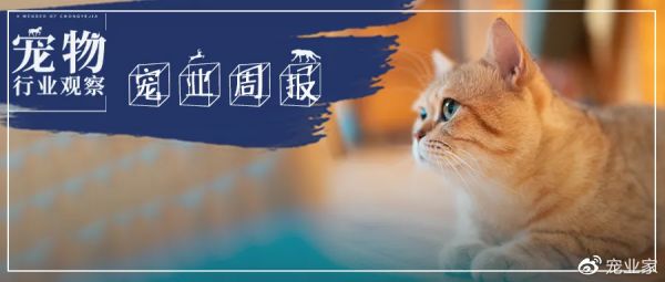 宠业周报丨天猫调整宠物类目相关规则；毛星球获数千万元融资