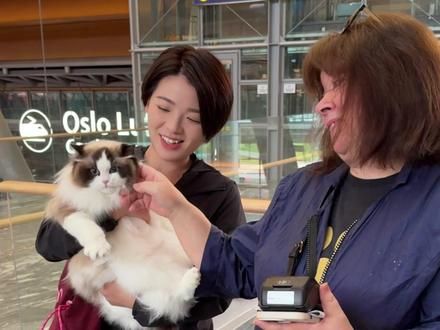 第一次带猫去挪威，一场意想不到的分离，带猫出国避坑指南！ #opium布偶猫 #灭霸布偶猫舍 #挪威 #vcare南极磷虾油 #科学养宠攻略