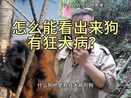  被狗咬伤第一时间不是打疫苗，所以一旦被来路不明的狗咬伤，即便是伤口很浅都有可能造成感染。所以要在第一时间啊，立刻挤出伤口处的血，然后呢用肥皂水，伴随着流动水源去反复冲洗15分钟以上，这点很重要的，在24小时之内去医院打疫苗，正常不管什么动物咬伤抓伤都要去打疫苗，钱固然重要，但是生命更可贵。一旦被感染狂犬病致死率是100%的。#狗是人类最忠诚的朋友 #狗 #户外 #农村生活 #抖音助农 