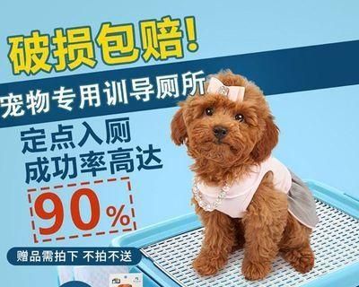 狗狗突然躺着尿怎么办（应对狗狗突然躺着尿的方法及预防措施）
