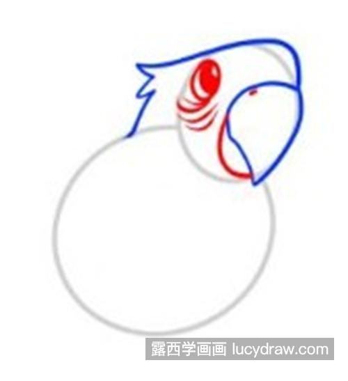 可爱简单的鹦鹉简笔画怎么画 简单好看的鹦鹉简笔画教程带步骤图