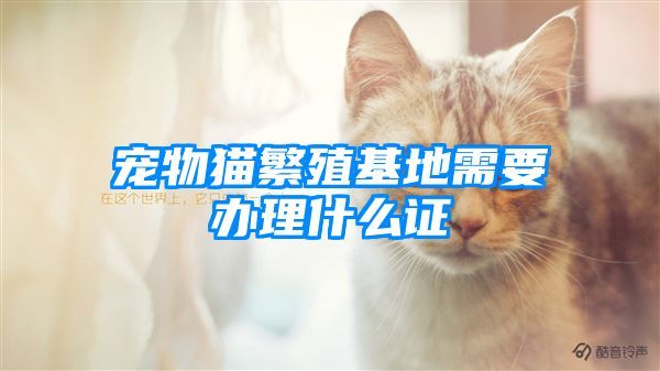 宠物猫繁殖基地需要办理什么证
