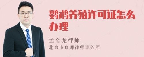 鹦鹉养殖许可证怎么办理