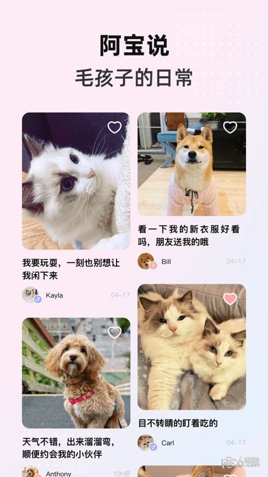 宠物社区app推荐 宠物交流