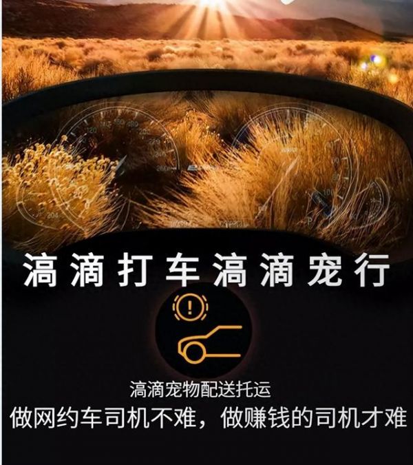 川渝地区小轿车司机可接宠物订单了，单价高招募滈滴打车宠物司机-有驾