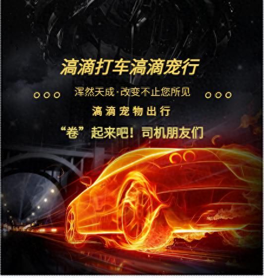 川渝地区小轿车司机可接宠物订单了，单价高招募滈滴打车宠物司机-有驾