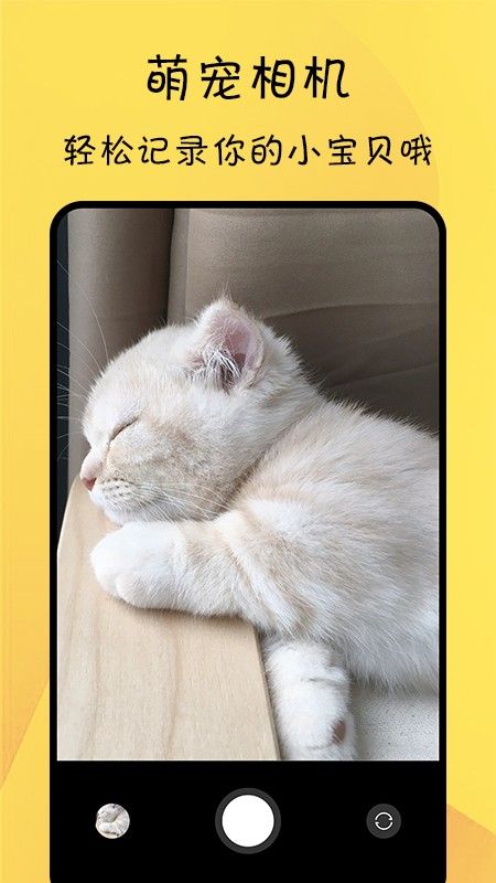 宠物记录app