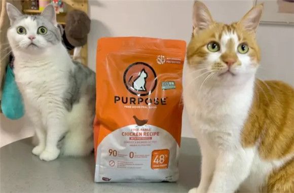 深度评测PURPOSE璞斯宠物粮怎么样？