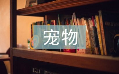 宠物护理