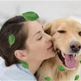 狗狗也有不能吃的食物?这些食物要注意,会伤害狗狗