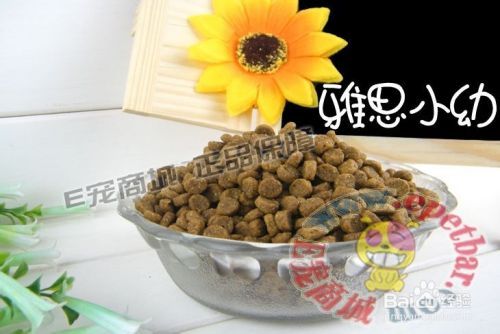 狗狗肠胃不好怎么办？