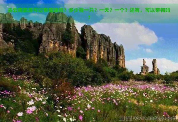 去云南旅游可以带猫咪吗？多少钱一只？一天？一个？还有，可以带狗吗？