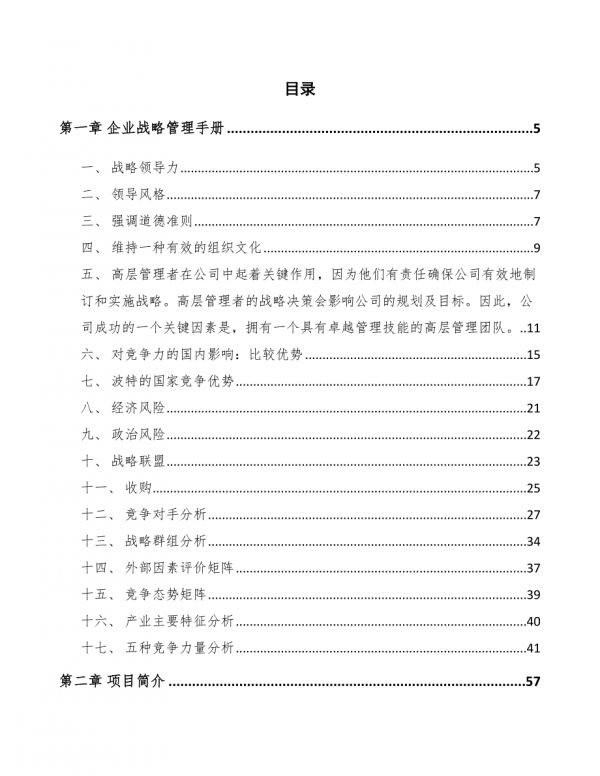 宠物营养液公司企业战略管理手册_范文-第2页