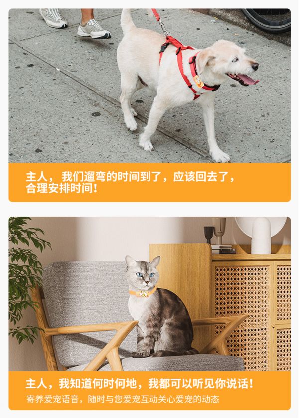 宠物神器！追踪定位一键找。有彼优比宠物电话手表来了！无需担心丢失，一键即可实时定位、追踪爱宠位置，防丢追踪神器！精准GPS定位技术，让你时刻掌握宝贝的行踪！轻便舒适的设计，宠物也会喜欢！不要再被狗狗猫咪跑丢了，来一款有实力的宠物电话手表吧！